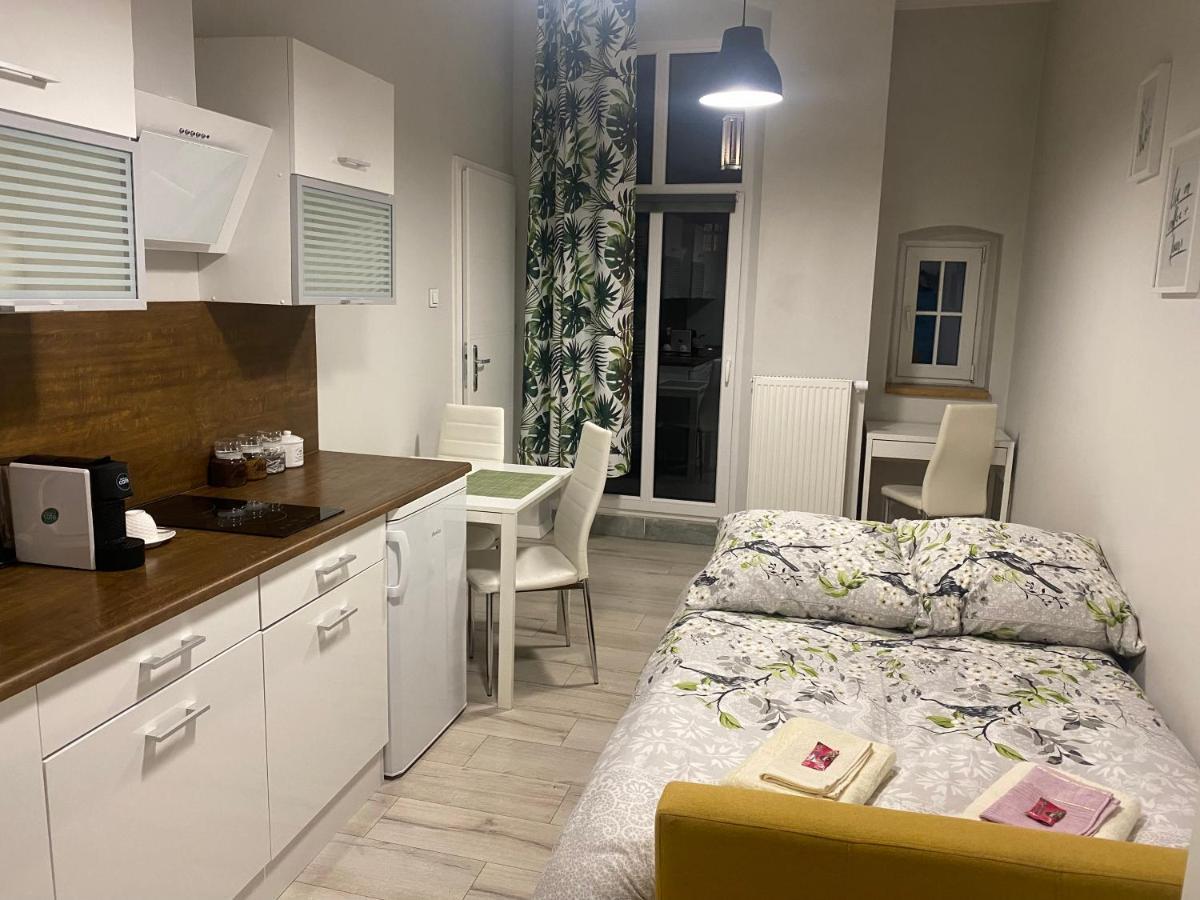 Przytulna Kawalerka 10Min Pieszo Od Dworca/Galerii Apartman Katowice Kültér fotó
